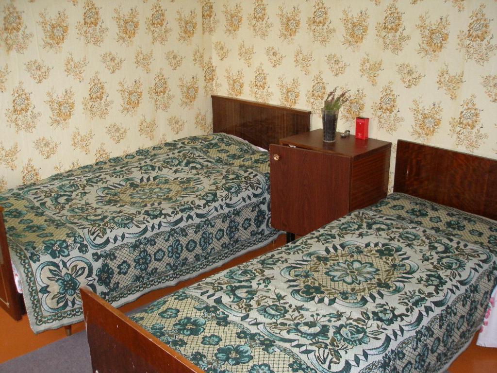 Auberge de jeunesse La Pina à Narva-Jõesuu Extérieur photo